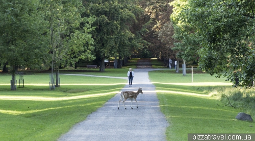 Зоосад в Ганновере (Tiergarten)