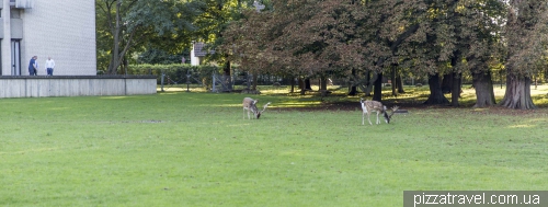 Зоосад в Ганновере (Tiergarten)