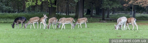 Зоосад в Ганновере (Tiergarten)