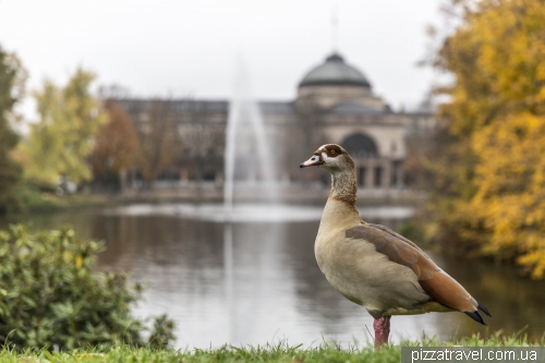 Wiesbaden