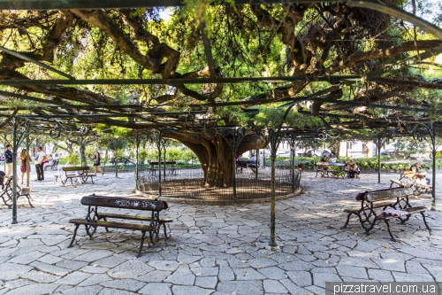 Lisbon, Jardim do Príncipe Real