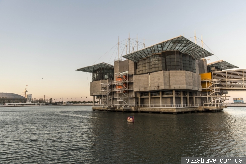 Lisbon - Oceanarium