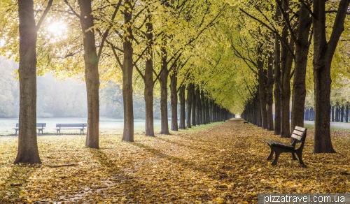 Herrenhausen alley in Hanover