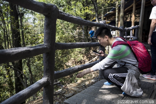 Wulingyuan (Avatar mountains)