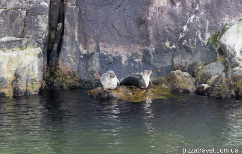 Cruise on the Lysefjord