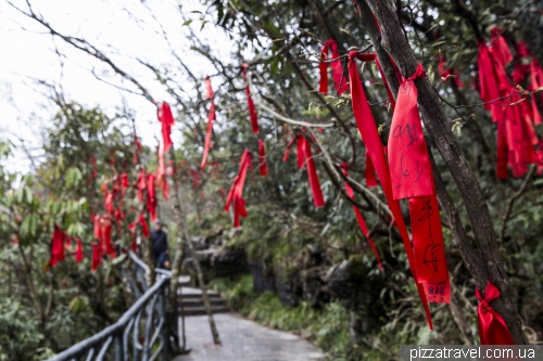 Tianmen Mountain