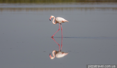 Camargue National Park