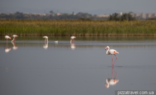 Camargue National Park