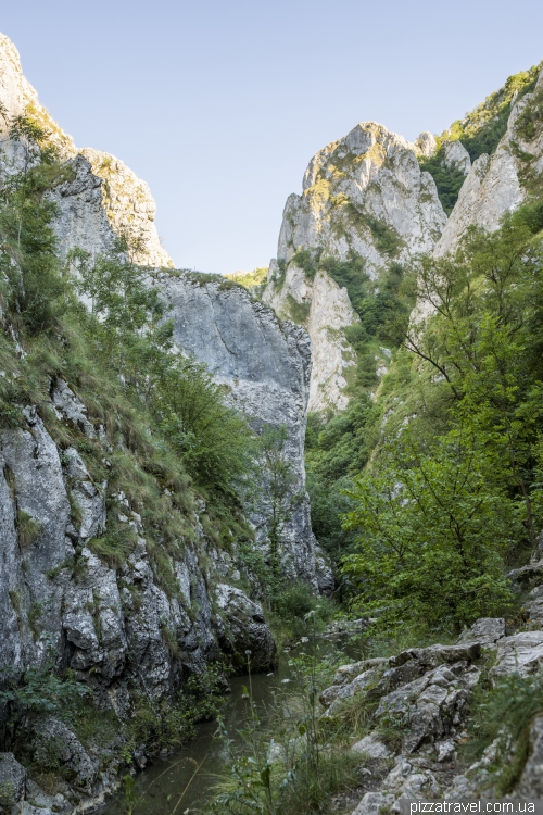 Turda Gorge (Cheile Turzii)