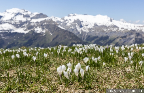 Männlichen mountain and hike to Kleine Scheidegg