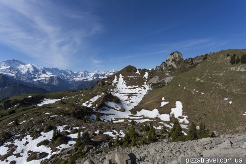 Schynige platte