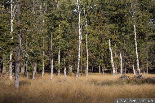 De Hoge Veluwe National Park