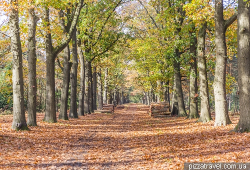 De Hoge Veluwe National Park