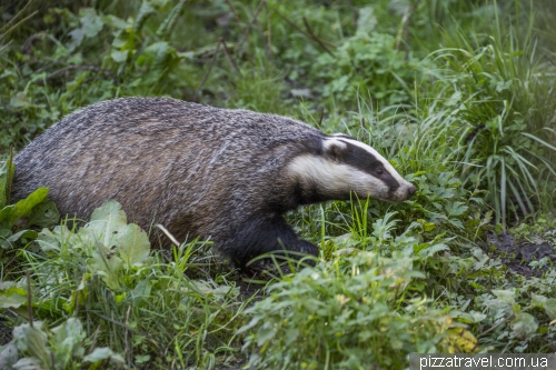 Otter center (Otter-Zentrum)