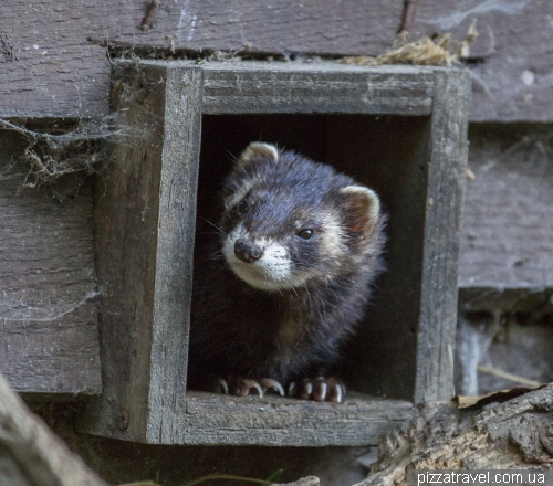 Otter center (Otter-Zentrum)