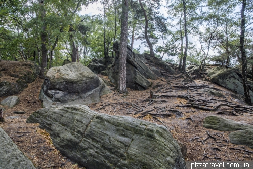 Dohren cliffs (Doerenther Klippen)