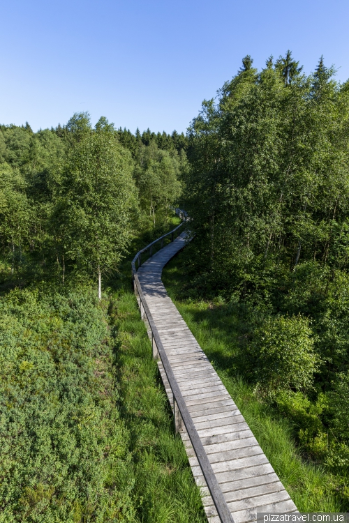 Болото Мекленбрух (Hochmoor Mecklenbruch)