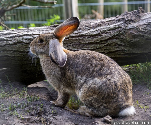 Wildlife Park in Mueden