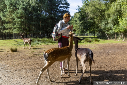 Wildlife Park in Mueden