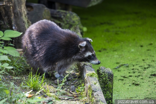 Wildlife Park in Mueden