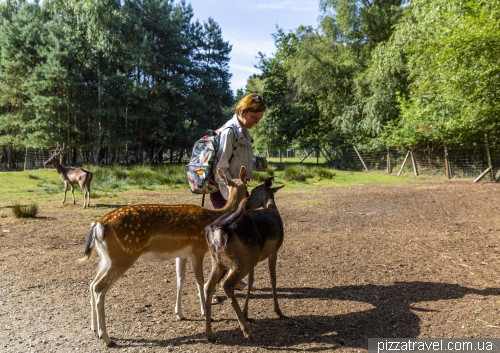 Wildlife Park in Mueden