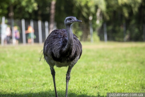 Wildlife Park in Mueden