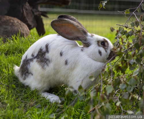 Wildlife Park in Mueden