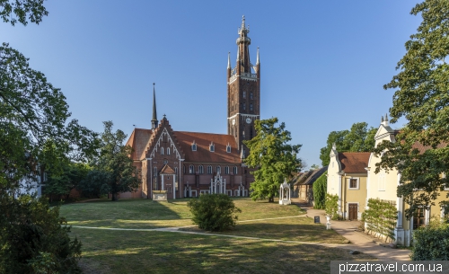 Park in Wörlitz