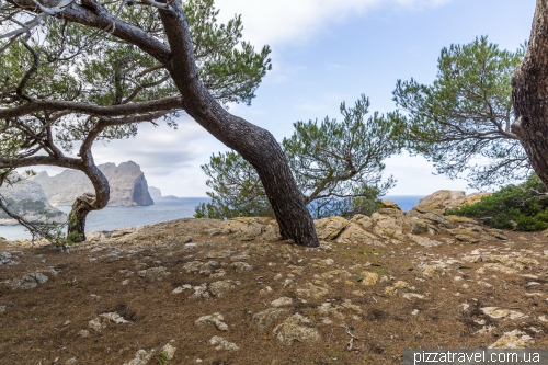 Cape Formentor