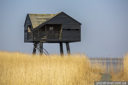 Kiekkaaste Birdwatcher's house