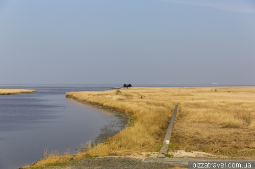 Kiekkaaste Birdwatcher's house