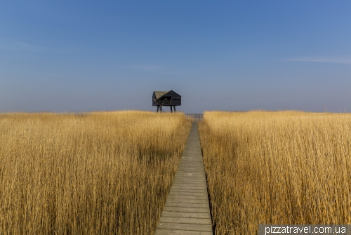 Kiekkaaste Birdwatcher's house