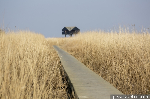 Kiekkaaste Birdwatcher's house