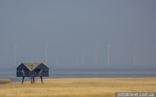 Kiekkaaste Birdwatcher's house