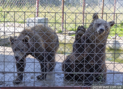 Kuusamo Predator Center (Kuusamon Suurpetokeskus Oy)