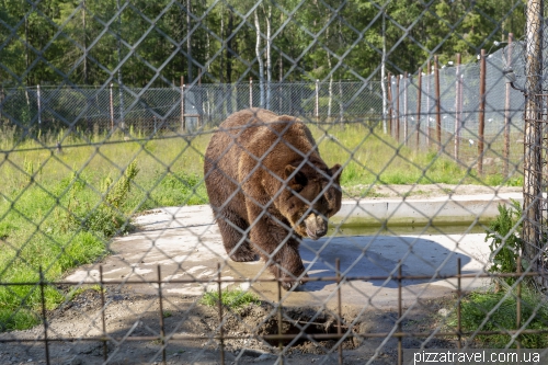 Kuusamo Predator Center (Kuusamon Suurpetokeskus Oy)