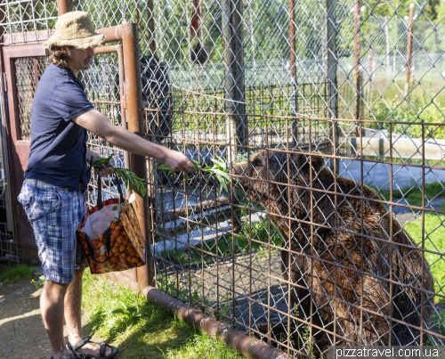 Kuusamo Predator Center (Kuusamon Suurpetokeskus Oy)