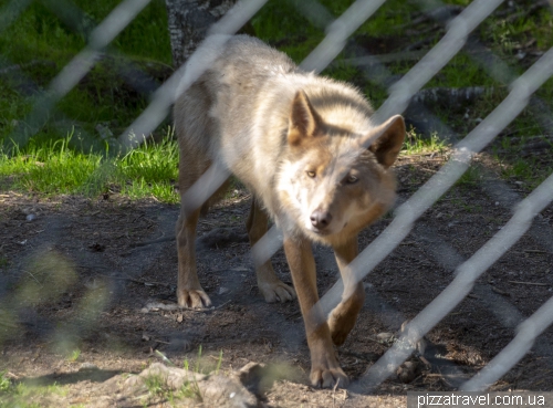 Kuusamo Predator Center (Kuusamon Suurpetokeskus Oy)