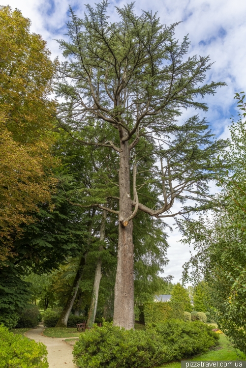 Замок Шеверни (Chateau de Cheverny)