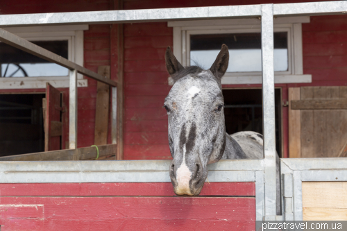 The Wild West-style town of Pullman City in the Harz Mountains