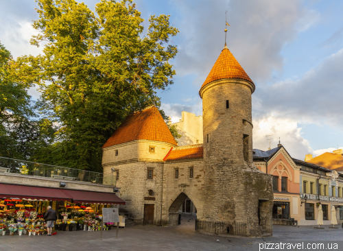 Tallinn