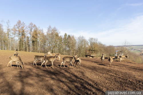 Bad Gandersheim