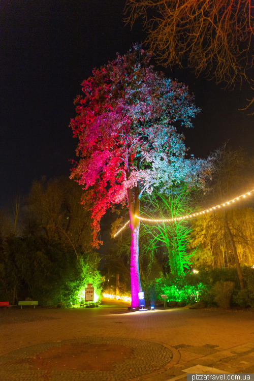 Різдвяне підсвічування у зоопарку Ганновера (Christmas Garden Hannover)