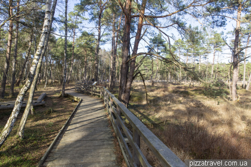 Bog trail in Resse (Moorerlebnispfad Resse)