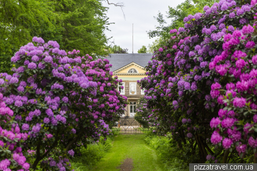 Alley of rhododendrons of Hagenburg Castle