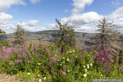 Wurmberg in the Harz mountains