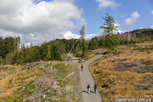 Wurmberg in the Harz mountains