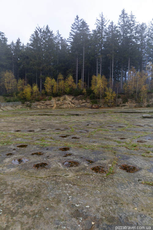 Dinosaur footprints in Obernkirchen (Dinosaurierfaehrten)