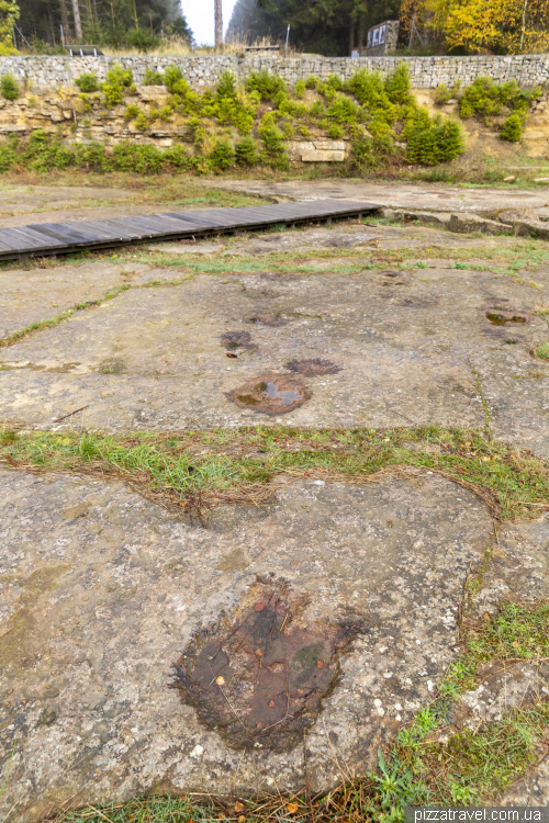 Dinosaur footprints in Obernkirchen (Dinosaurierfaehrten)