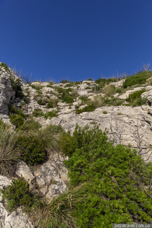 Picturesque views from the top of Mount Ruju